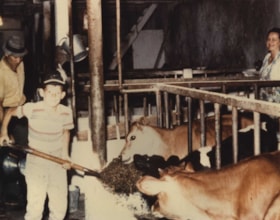 11 groups of additional photographs, dating from the 1920s through the 1960s, including many of the Western colonies and two, in colour, from the Niagara Peninsula