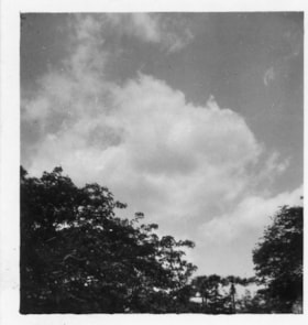 View of sky and trees