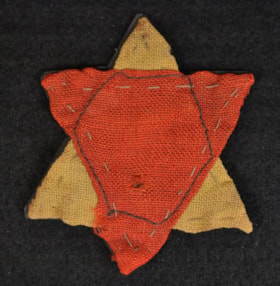 Concentration camp
badge