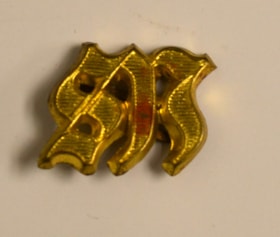 Military Pin