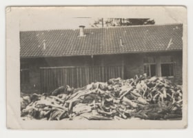 Pile of corpses from Dachau concentration camp after Liberation