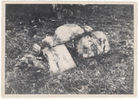 Stones found in wells of Guerry