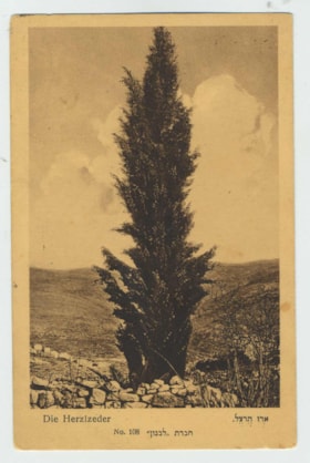 Postcard