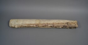 Torah scroll