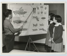 Students studying insects.