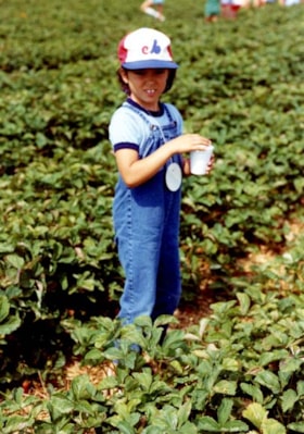 JCC Day Camp camper Lori Borts picking strawberries.