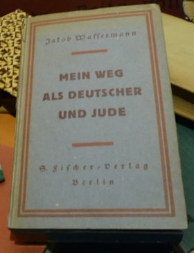 Mein Weg Als Deutscher Und Jude (My Life as German and Jew)